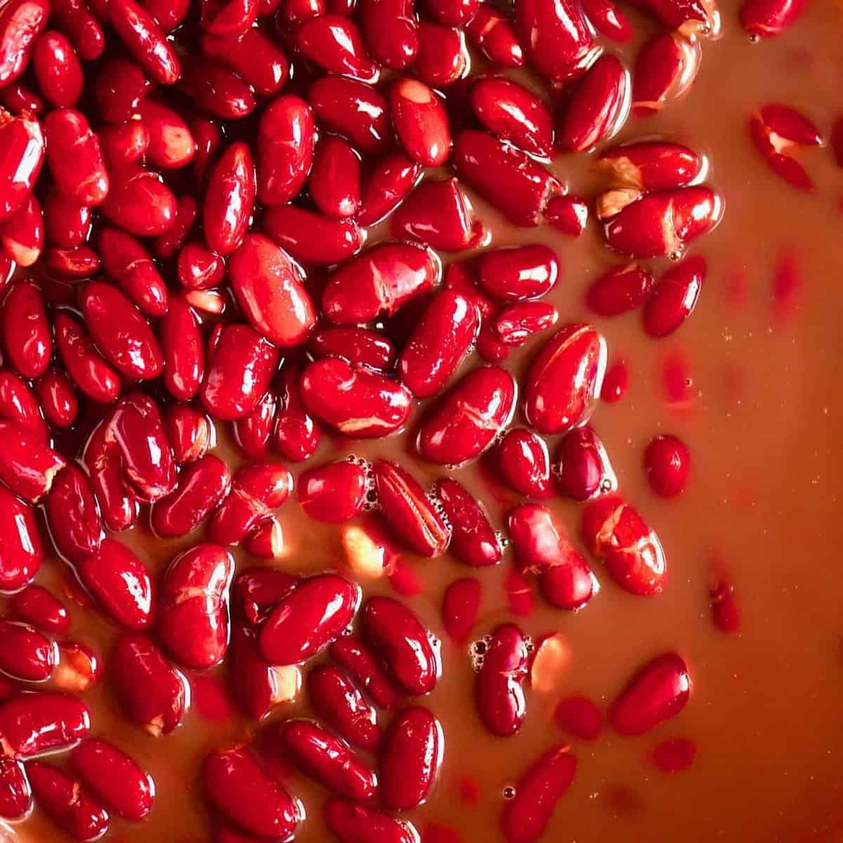 how to prep cook and freeze dried red kidney beans - Article 1